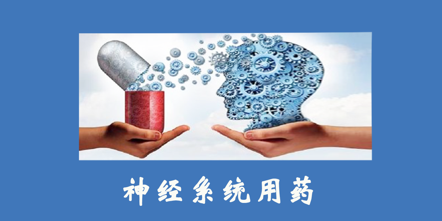 神經系統