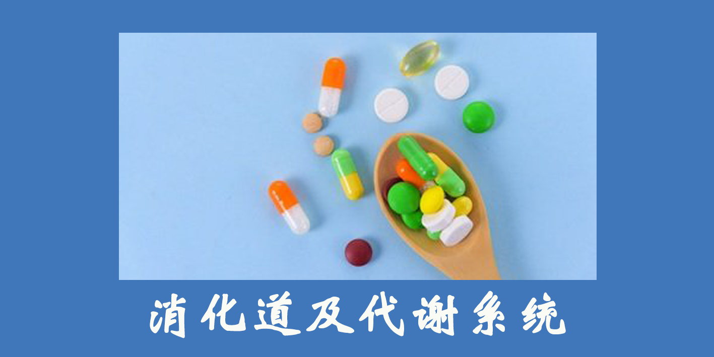 消化道及代謝系統